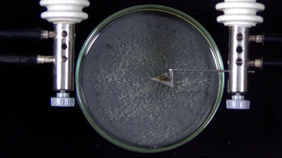 Bild mit Link zur E-Lehre